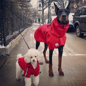 Meet your Posher, Suzanna